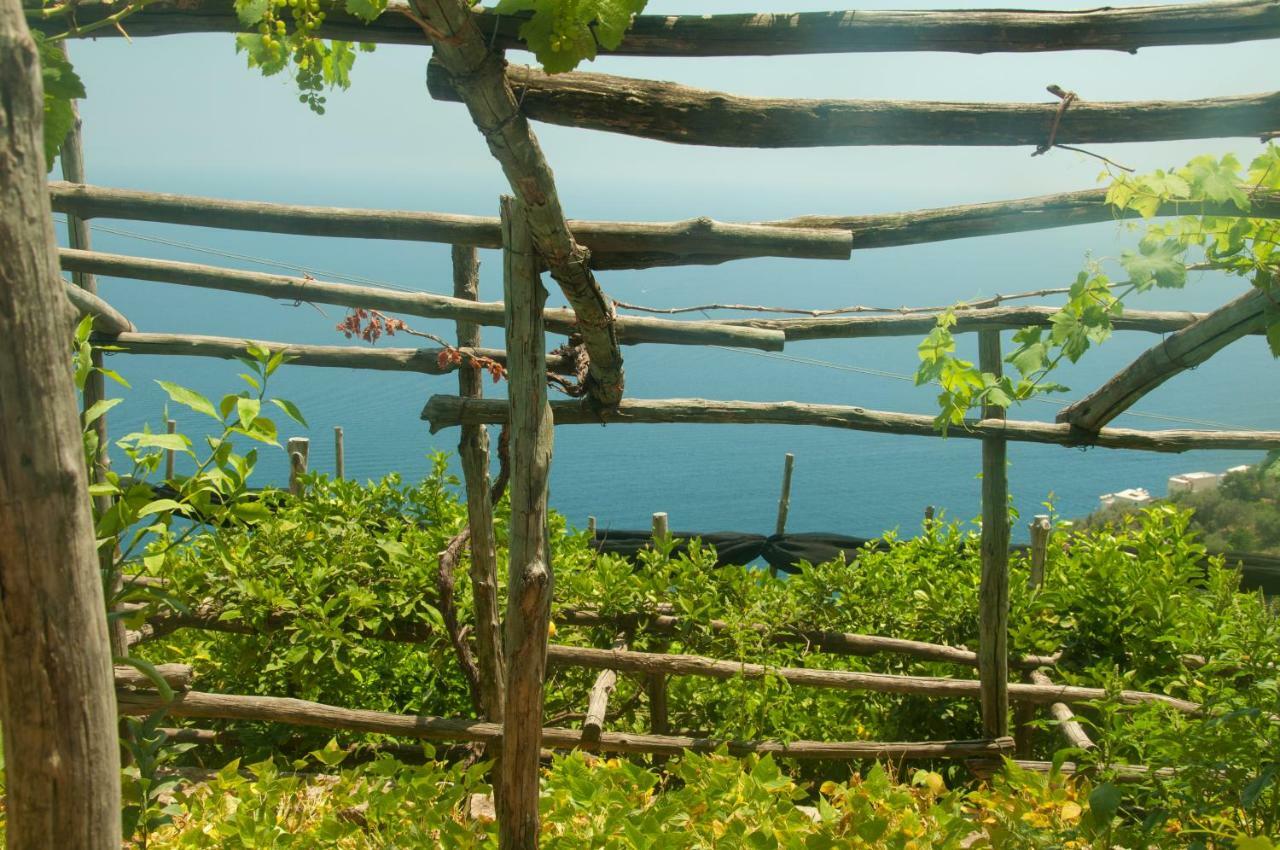 Casa Martina Villa Amalfi Esterno foto